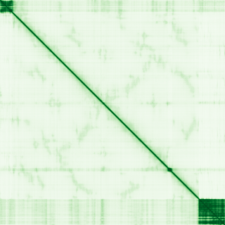 Real Predicted Aligned Error plot for BRCA1 (P38398) from AlphaFold DB, showing a small confident dark block at the C-terminal BRCT domain against an otherwise uniformly light, low-confidence background