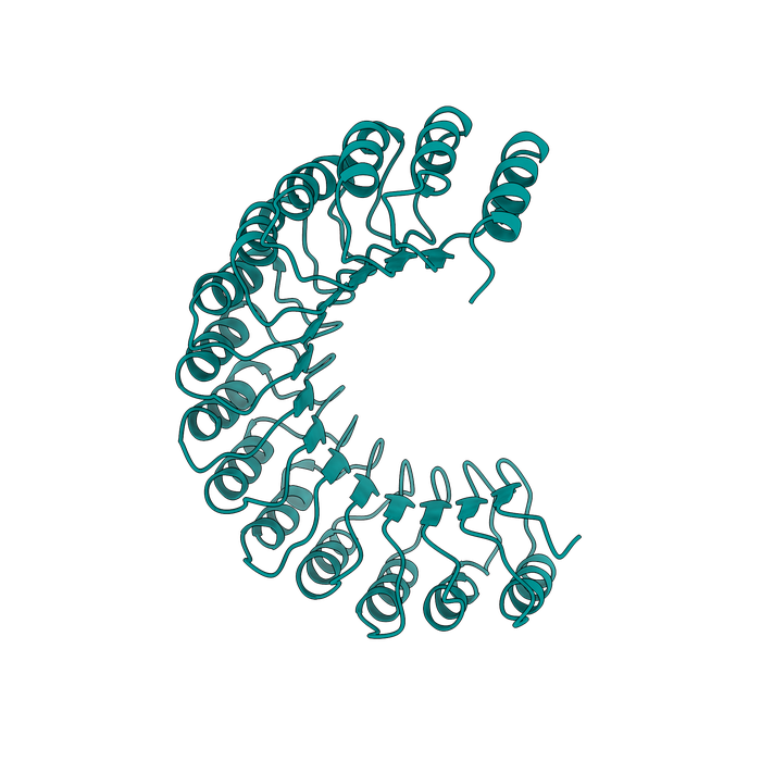 ChopChopMF logo